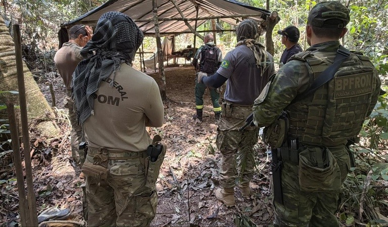 PF destrói estrutura de madeira ilegal em Rondônia