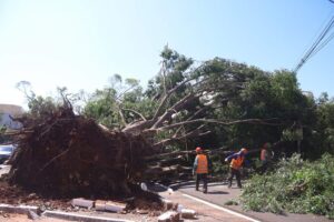 Campo Grande decreta emergência após temporal destruidor