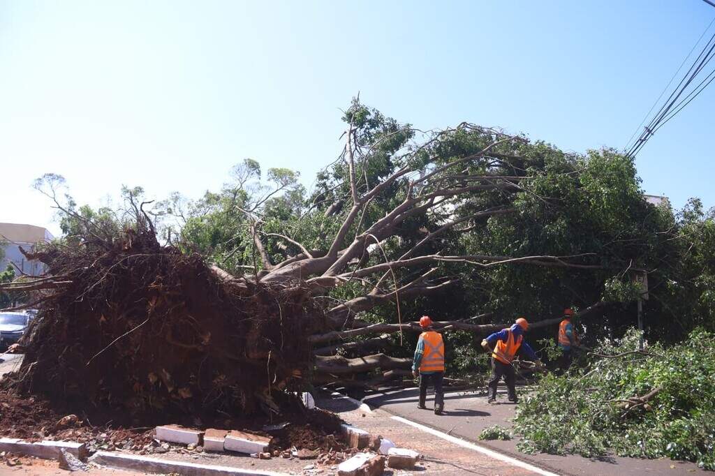 Campo Grande decreta emergência após temporal destruidor